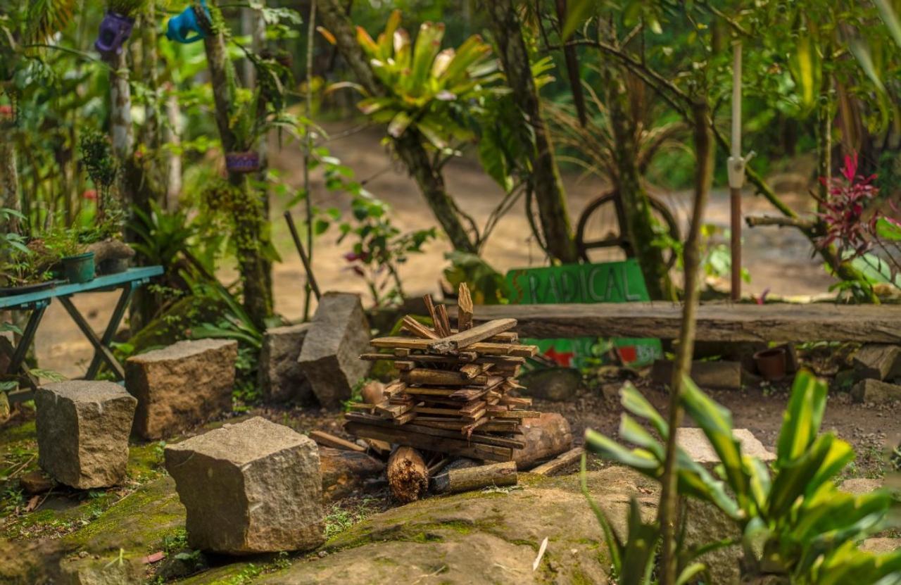 Eco Hostel Organic Life Триндади Экстерьер фото